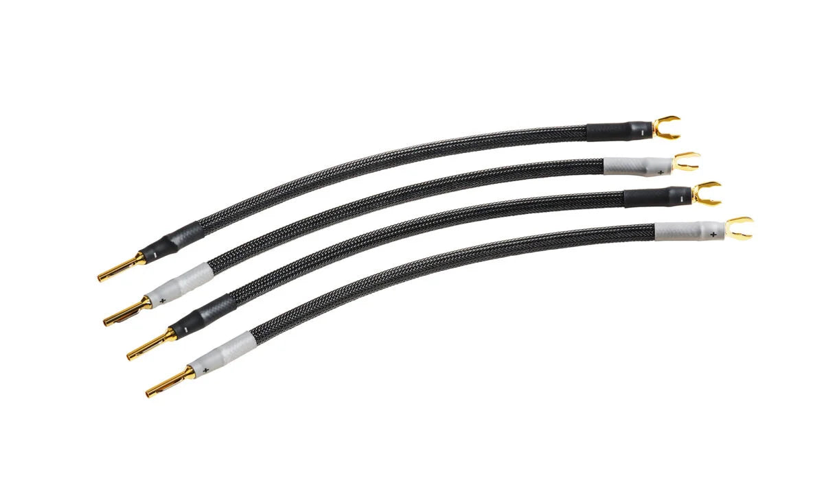 Gamma Speaker Cable