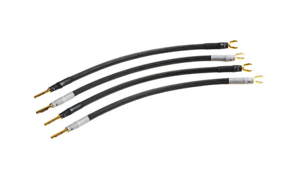 Gamma Speaker Cable