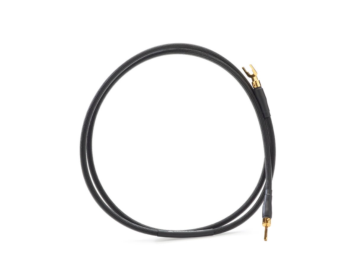 Gamma_CGC_Body-1200x925